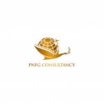 Pnfg Consultancy