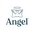 theangel pillow