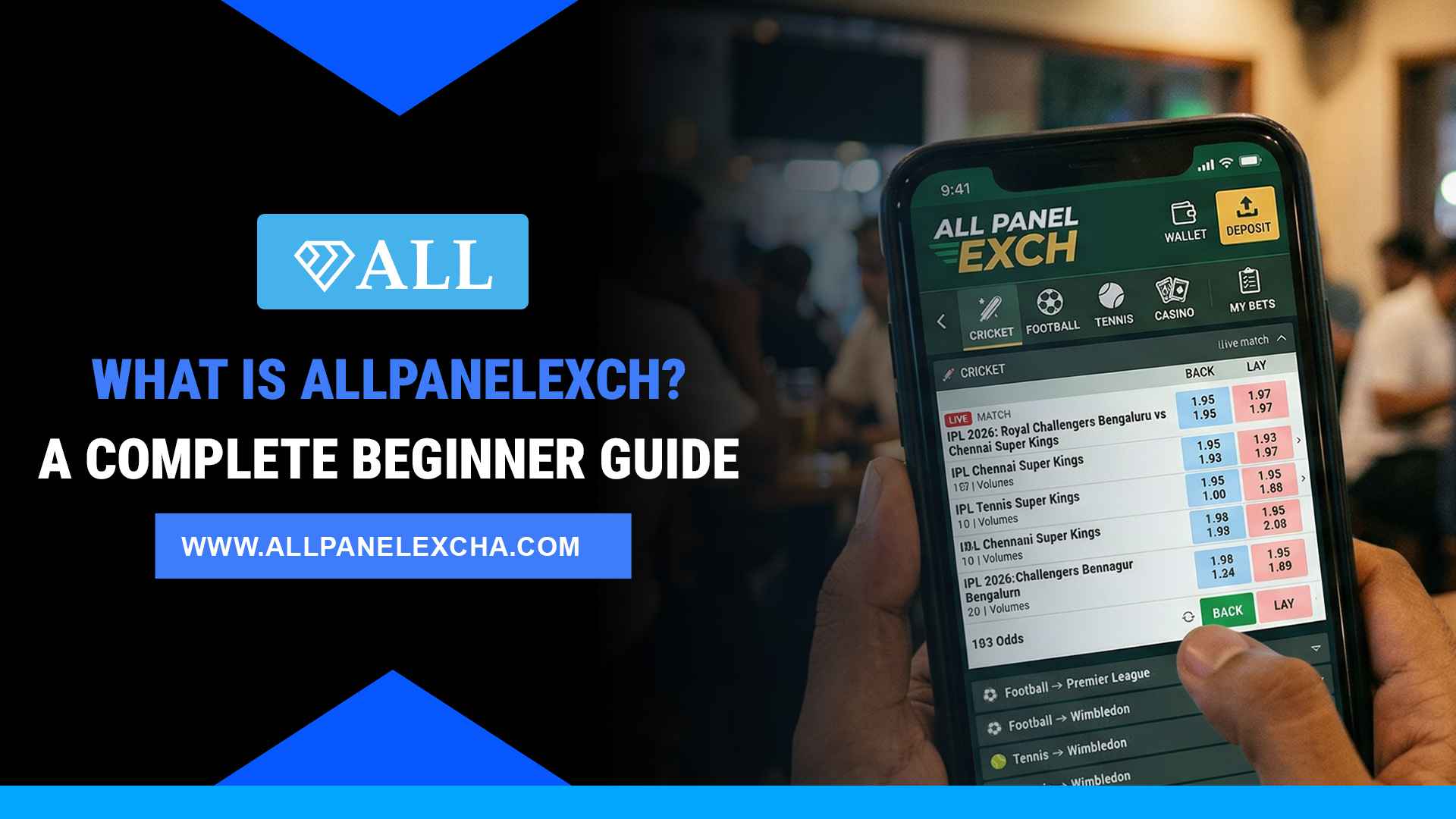 What is AllPanelExch? A Complete Beginner Guide - allpanelexcha.com