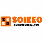 Soi kèo bóng đá