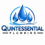 Quintessential Plumbing