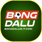 BongDa Lu