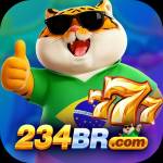 234br org