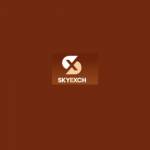 Skyinplay Login