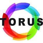 Torus Cold Press Juicers