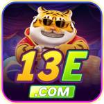 13e org