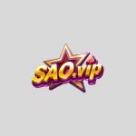 SAO VIP