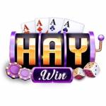Cổnggame HAYWIN