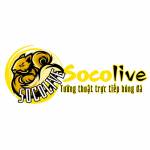 Socolive run