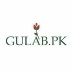 Gulab PK