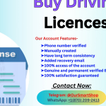 Top rated site Buy Driving Licences in Year