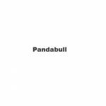 Panda bull