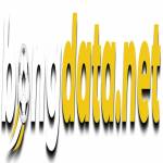 Bongdata xác hàng đầu
