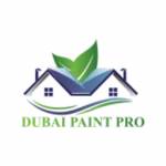 Dubai Paint Pro