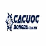 CÁ CƯỢC BÓNG ĐÁ