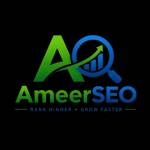 Ameer SEO