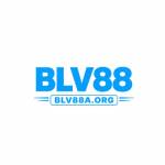 Blv88a org