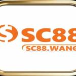sc88 wang