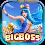 Bigboss 2nd shop