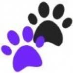 Love Your Pets