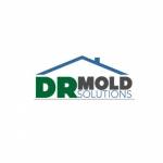 DR Mold Solutions