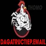 Đá gà trực tiếp