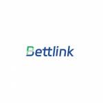 Bettlink Electronic Limited