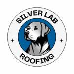 Silver Lab Roofing