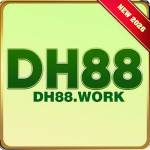 dh88 work