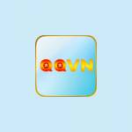 qqvn jp net