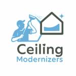 Ceiling Modernizers