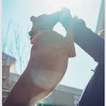 Coastal K9 Academy