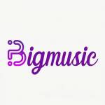 big musicorg