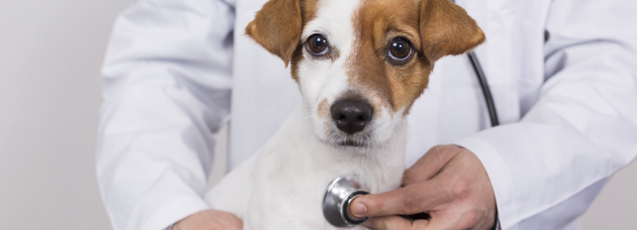 Dry Creek Veterinary Hospital