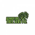 Gerardo Bro Tree Service Expert Storm Tree Cleanup