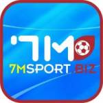 7msport biz