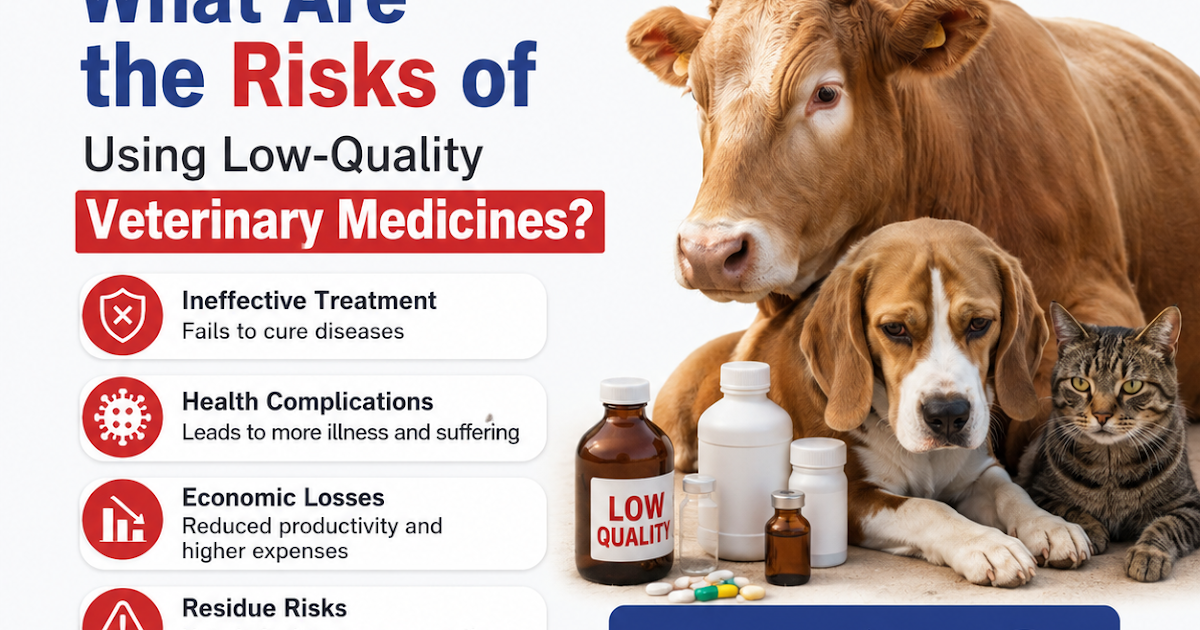 What Are the Risks of Using Low-Quality Veterinary Medicines?