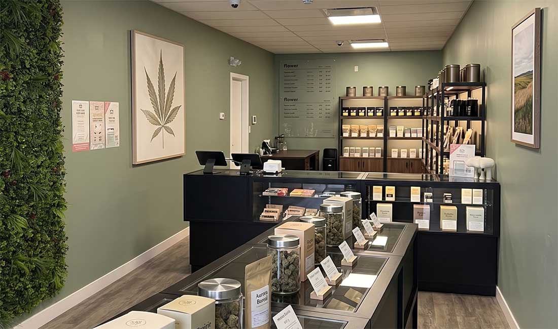 Best Indica Flower in Regina: Real Shopper Insights