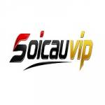 Nền tảng SOICAUVIP