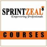 sprintzeal sprintzeal