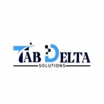Tabdelta Solutions