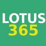 lotus365 officials