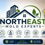 NortheastMoldExperts MoldExperts