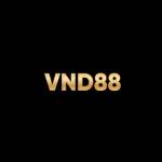 VND88 Finance