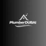 Plumbing Service in Dubai