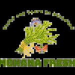 Mohana Fresh