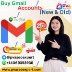 PVASEO Expert
