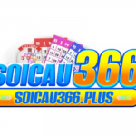 Nền tảng Soicau366