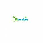 Riverdale Pavinglandscaping