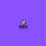 GSV Appliance Repair